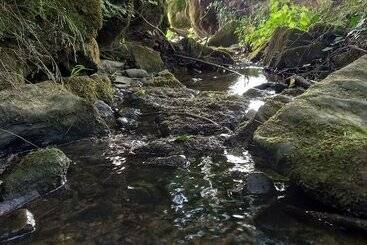 Pensiune Maison Althaus