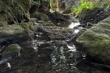 Majatalo Maison Althaus