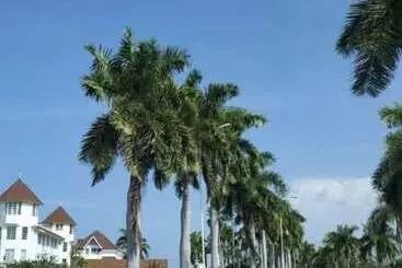 پانسیون Seacastles Exclusive Vacation  Rentals