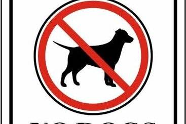 茅舍 Stunning Forest Retreat   Walk To Upper Truckee River!