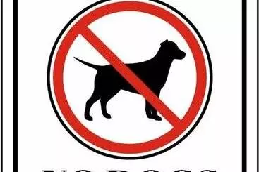 Mökkimajoitus Stunning Forest Retreat   Walk To Upper Truckee River!