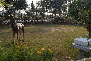 Hotel The Buddha Resort