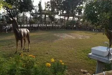 Hotel The Buddha Resort