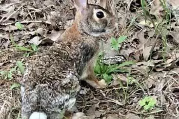 コテージ Outcast Landing   A Fisherman S Paradise