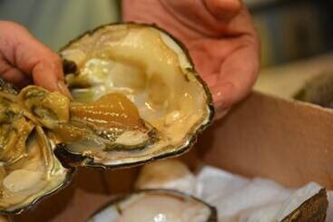 קוטג'' Birdsong Resort Marina Lakeside Rv