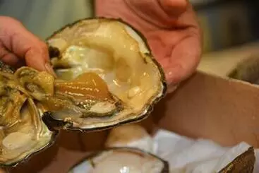 Mökkimajoitus Birdsong Resort Marina Lakeside Rv