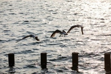Namhae Badatga Byeoljang Pension