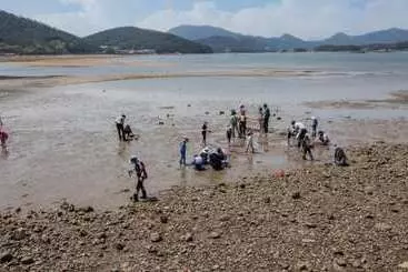 Sacheon Bichae Pension