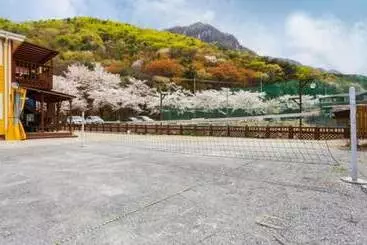 Gongju Man And Tree Pension