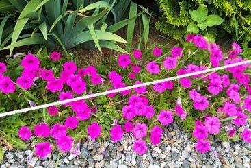 Yongin Byeolbaragi Pension