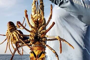 Golden Rock Dive And Nature Resort