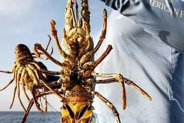 Golden Rock Dive And Nature Resort