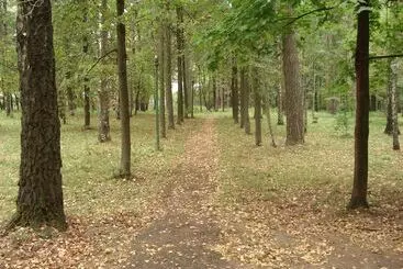 Hotelli Trade Union Training Center