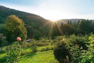 ペンション The Moosbach Garden
