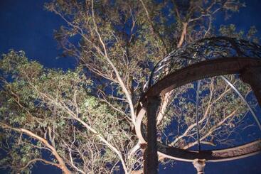 Angaston Vineyards Motel