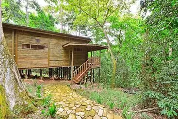 The Rainforest Geo Lodge