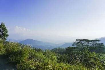 Wild Glamping Knuckles   Thema Collection