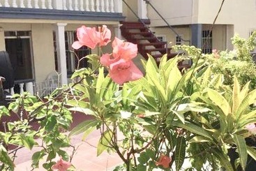 پانسیون Willies Court Apartments