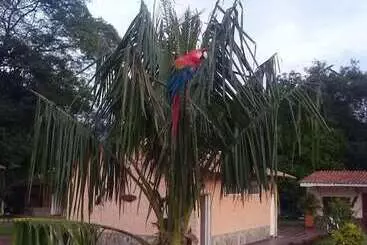 ホテル Campestre Aguamaco