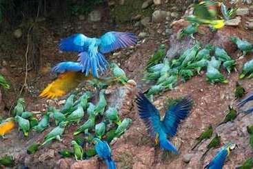 Inotawa Expeditions Amazon House   Hostel