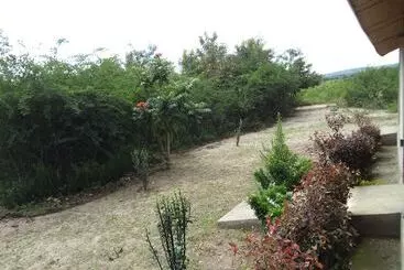 The Elephant Home