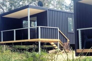 Bimbi Park   Camping Under Koalas