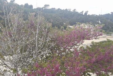 Hotell Sawsana S Suites