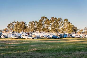 The Woolshed At Jondaryan Campsite