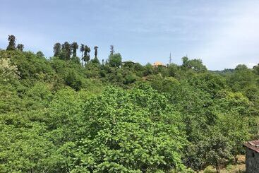 پانسیون White Guest House