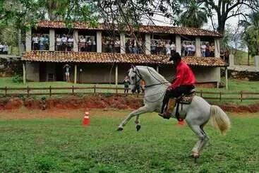 田舎風ホテル Fazenda Da Roseta