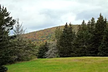 Cajun Cedar Log Cottages