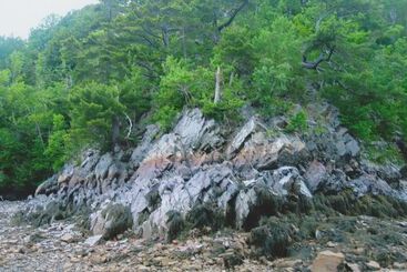 Millyard Recreation Riverfront Cottages