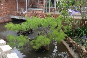 هتل Feng Ya Yue Zhu