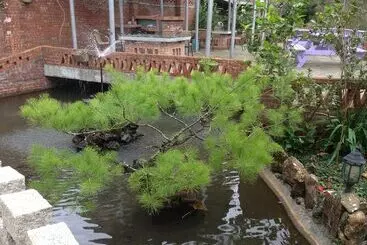 Hotel Feng Ya Yue Zhu