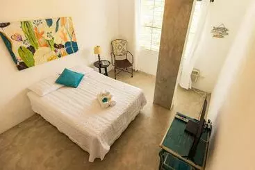 پانسیون Vieques Tropical Guest House