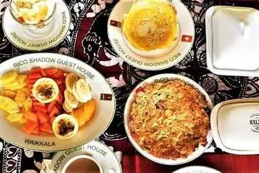 Pension (Hôtel basse catégorie) Rico Shadow Guest House