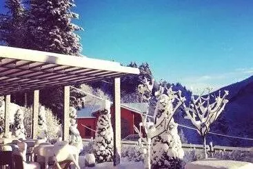 ホテル Albergo Val Dolo