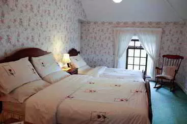 Springview House Bed & Breakfast