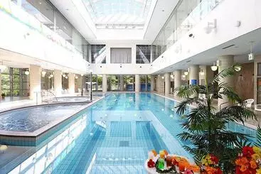 Hotel Ooedo Onsen Monogatari Premium Gero Shinkan