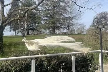 ペンション Domaine Des Peyries   Chambres Et Table D Hôtes