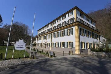 Carea Hotel Fürstenhof