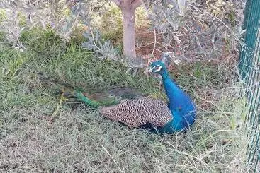 Majatalo Villa Giulia & Soley