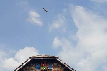 هاستل Planinski Dom Tornik Zlatibor
