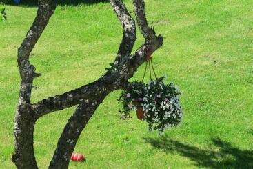 Pensão Apartmenti Zvejniekciema