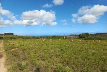 Pension Fijnbosch Game Lodge Jeffreys Bay