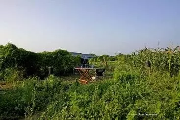 Hotel The Yala Camping