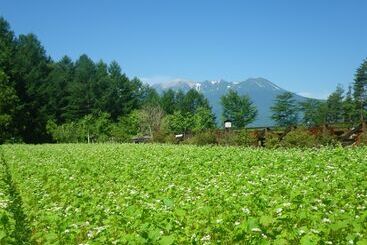酒店 Onyado Tsutaya