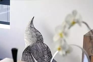 بنسيون 65oncliff