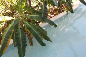 Pensionat Kobe House