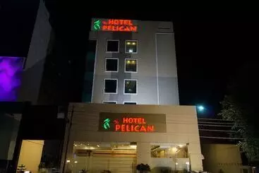 Hotel The Pelican
